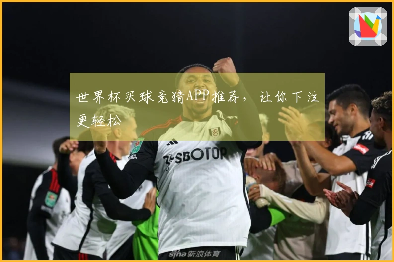 世界杯买球竞猜APP推荐，让你下注更轻松