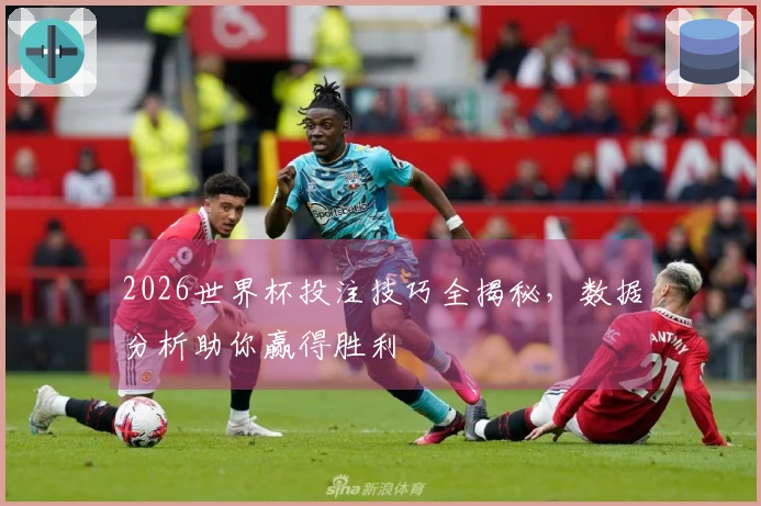 2026世界杯投注技巧全揭秘，数据分析助你赢得胜利